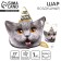 Foil ball 24 "Cat - Happy Birthday", with a substrate