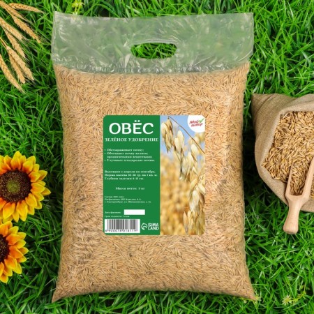Oats seeds, my choice, 5 kg