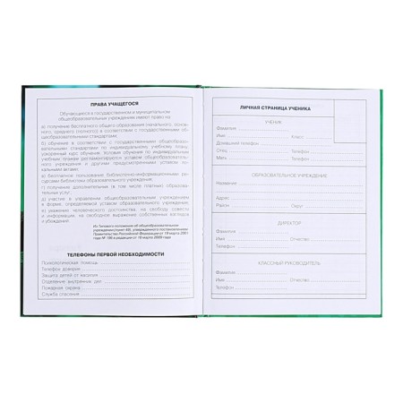 Diary for grades 1-4, solid cover "Drafting", glossy lamination, block 60g/m²-4