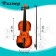 Musical toy "Violin. Maestro ", sound effects, brown color
