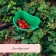 Container for collecting berries, 3 l, "flowering crop", green