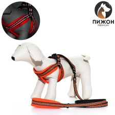 The ammunition kit is soft, reflective, leash 120 x 1.5 cm, Osh 35-53 cm, orange