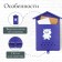 Mail box without a lock (with a loop), vertical, “house”, blue