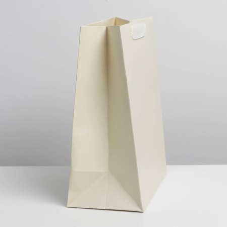 Gift Package Laminated, Packaging, "Dairy", Ml 23 x 27 x 11.5 cm-1