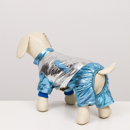 Kombinson "Shine", size 14 (DS 32 cm, OG 42 cm, Osh 31 cm), silver-blue-2