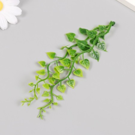 Artificial plant for creativity "epiprememum" set of 6 pcs 15 cm-3