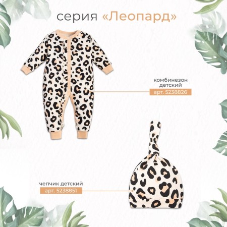 Sluttani cuttings crumb I "Leopard" Growth 62-68 cm-9