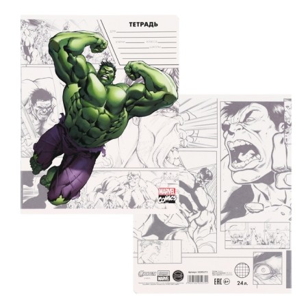 Notebook in a cage 24 sheets, 5 types of mix, cover covering cardboard, Avengers-4
