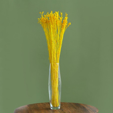 Sukhotzet "Abrus" set 24 pcs, yellow color