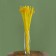 Sukhotzet "Abrus" set 24 pcs, yellow color