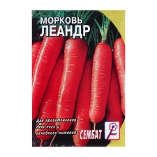 Seed Carrots 