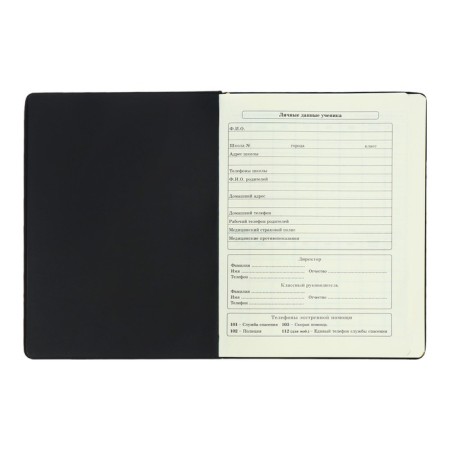 Diary 1-11 Grade "Kisul Vasily", artificial leather, foam, foil embossing, 48 sheets-5