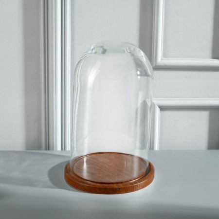 Glass dome -slosh on a wooden stand "Vincent - 1", 25x15 cm, brown-2