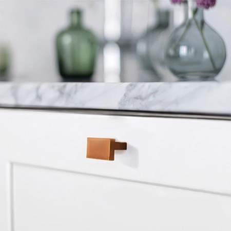 Furniture handle CAPPIO RT202, coffee color