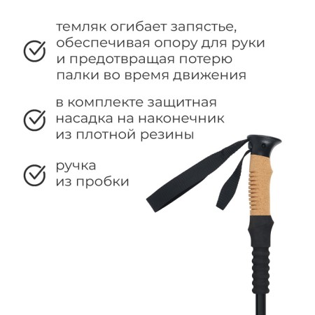 Scandinavian Walking Alitop, telescopic, 3 sections, up to 135 cm, black color-1