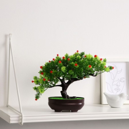 Bonsai in the pot "Werelp tree" 12x17 cm, mix