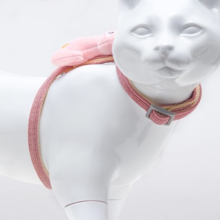 A set of ammunition with a toy, s, leash 120 x 1 cm, Osh 20-30, og 25-40 cm, pink-5