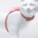 A set of ammunition with a toy, s, leash 120 x 1 cm, Osh 20-30, og 25-40 cm, pink