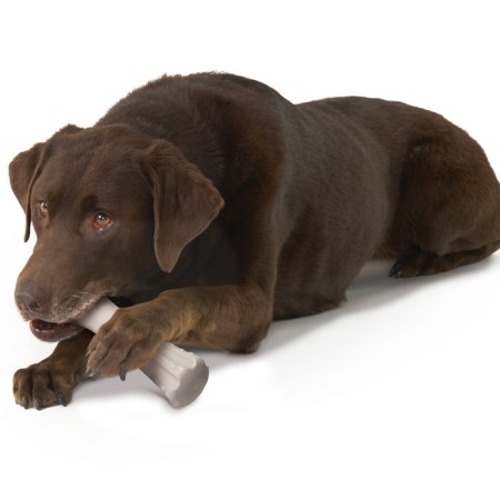 PETSTAGES Deerhorn toy for dogs, with deer horns big-2