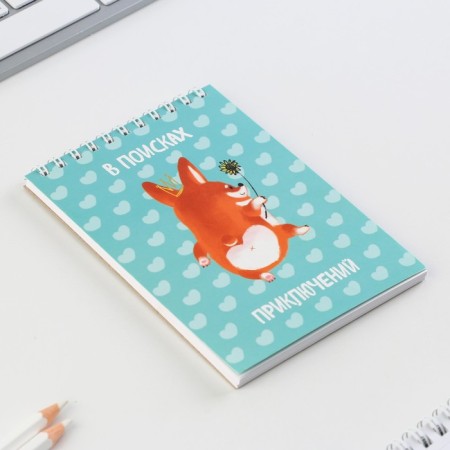 Sketchbook A6, 40 l. 100 g/m "Corgi"-1