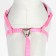 A set with a soft slope "Damon", size S, leash 120 x 1 cm, pink