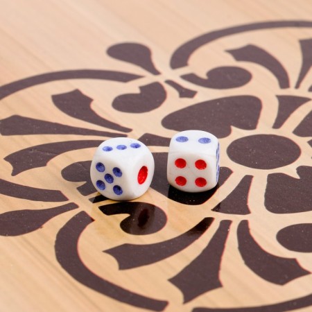 Backgammon "lion and tiger", wooden board 50 x 50 cm, with a field for playing checkers-4