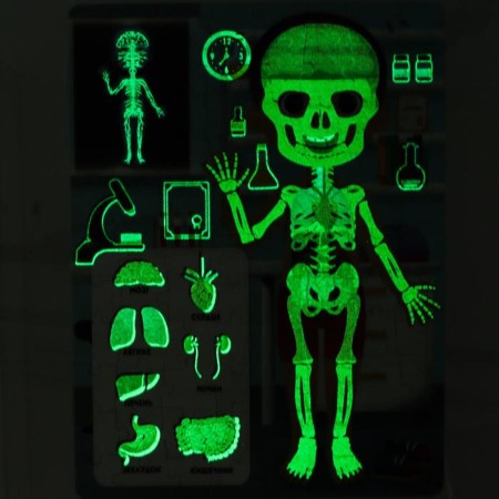 Puzzles luminous "X-ray-cabinet", 88 details-3