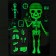 Puzzles luminous "X-ray-cabinet", 88 details