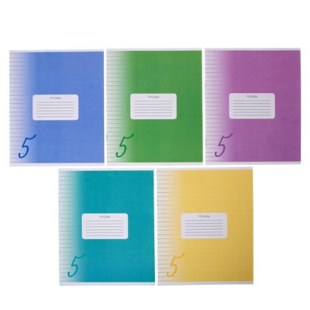 Notebook 24 sheets in the Calligrata "Five" line, cover covered cardboard, varnish, block offset, white 95%, mix