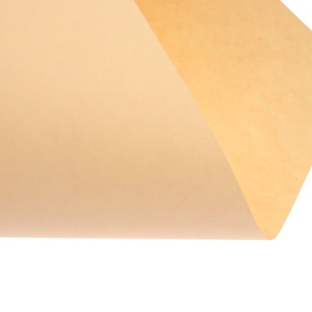 Color paper A4 250l Calligrata Pastel + intensive mix 10 -cv 80g/m2, barn-10