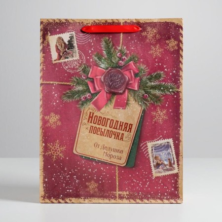 Craft vertical package “New Year's package from Grandfather Frost”, l 31 x 40 x 9 cm, new year-2