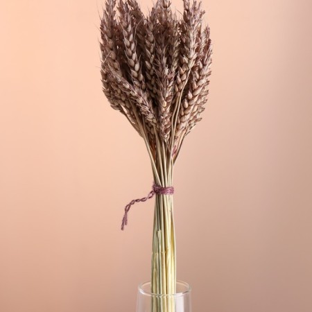 A set of dried flowers "wheat", a ban 35-40 pcs, length 55-65 (+/- 6 cm), brown-1