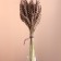 A set of dried flowers "wheat", a ban 35-40 pcs, length 55-65 (+/- 6 cm), brown