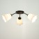 Chandelier "Online" (Flower) 3x15W E27 Model: BR 00234 Black/White