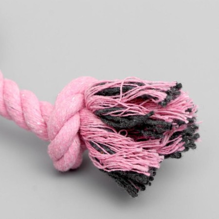 Soft toy for dogs "Bunny with a rope", with a squeak, 18 cm, pink-2