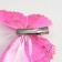 Butterflies for decor and floristry, on the clothespin, plastic, mix, 5 cm and 8 cm