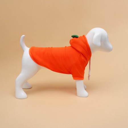 Sweep "Favorite Carrot", size XL (DS 40, OG 56 cm)-1