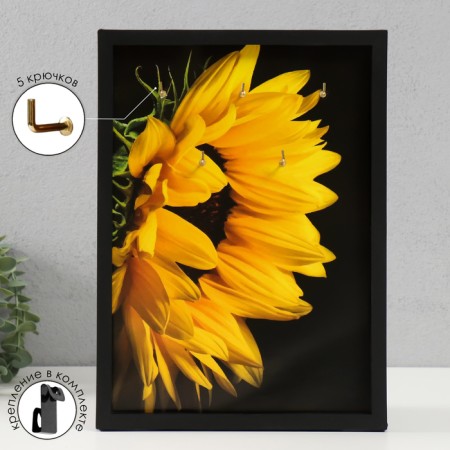 Open "sunflower" 5 hooks, 23x32 cm