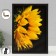 Open "sunflower" 5 hooks, 23x32 cm