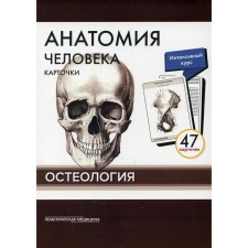 Human anatomy is osteology. Sapin Mikhail Romanovich, Nikolenko Vladimir Nikolaevich