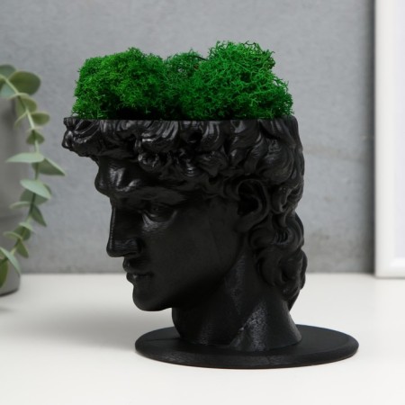 Concrete Kashpo "David" with moss black 11.5x15.5x12 cm (moss green stabilized)-3