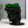Concrete Kashpo "David" with moss black 11.5x15.5x12 cm (moss green stabilized)