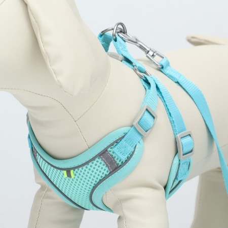 A set with a soft harness, fast-open, m, leash 140 cm, Osh 44-48 cm, og 51-60 cm, turquoise-4