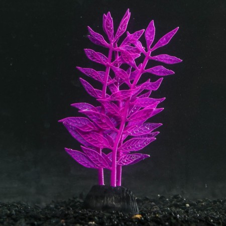 Silicone Aquarium plant, glowing in the dark, 8 x 15 cm, purple