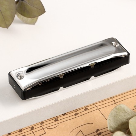 Music Life T002 C Diatonic Harly, 10 holes, with a case-2