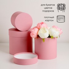 A set of hats 3 in 1 