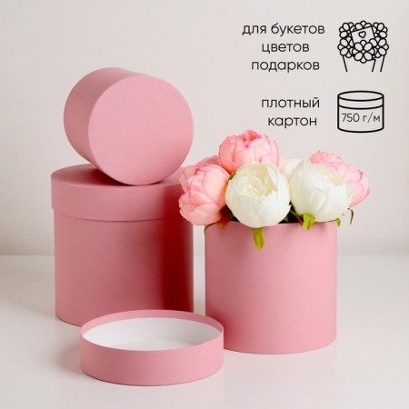 A set of hats 3 in 1 "Powder", 18 × 18 ‒13 × 13 cm