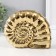 Souvenir ceramics "shell spiral" gold 20.5x6x16 cm
