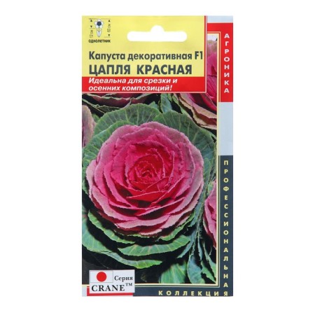 Seeds of cabbage decor. "Red Hood", 3 g