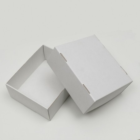 Box the team, cover is "white" 25x21x10 cm-2